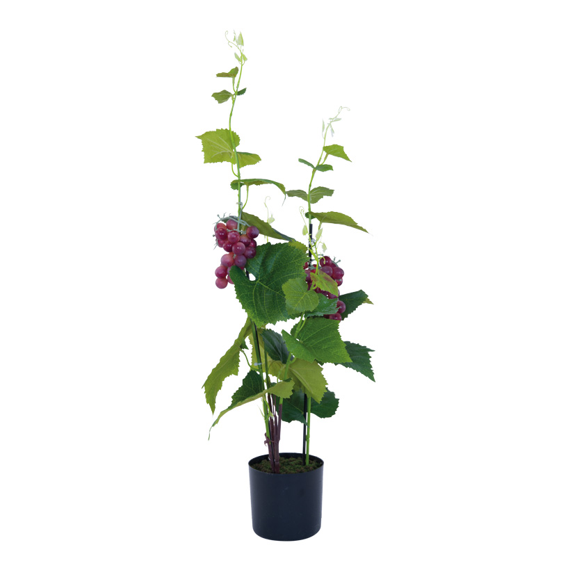 Weintraubenpflanze, 81cm Topf: 12,5x11,5cm aus Kunststoff/Kunstseide, im Topf, mit roten Weintrauben
