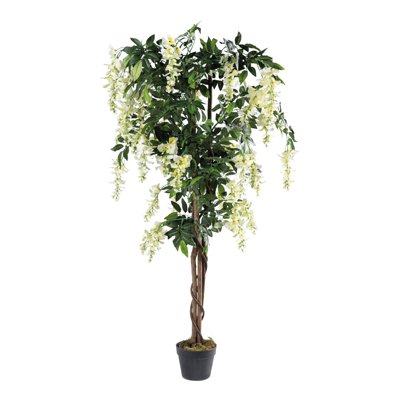 Goldregenbaum im Topf, 150cm Höhe 13cm, Ø 17cm ca. 840 Blätter, aus Kunstseide/Kunststoff/Holz