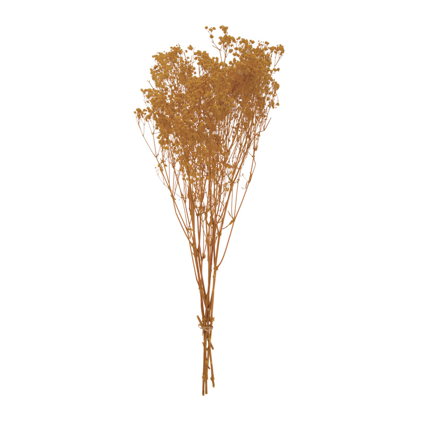 Trockenblumen-Bündel, 65-75cm ca. 110g