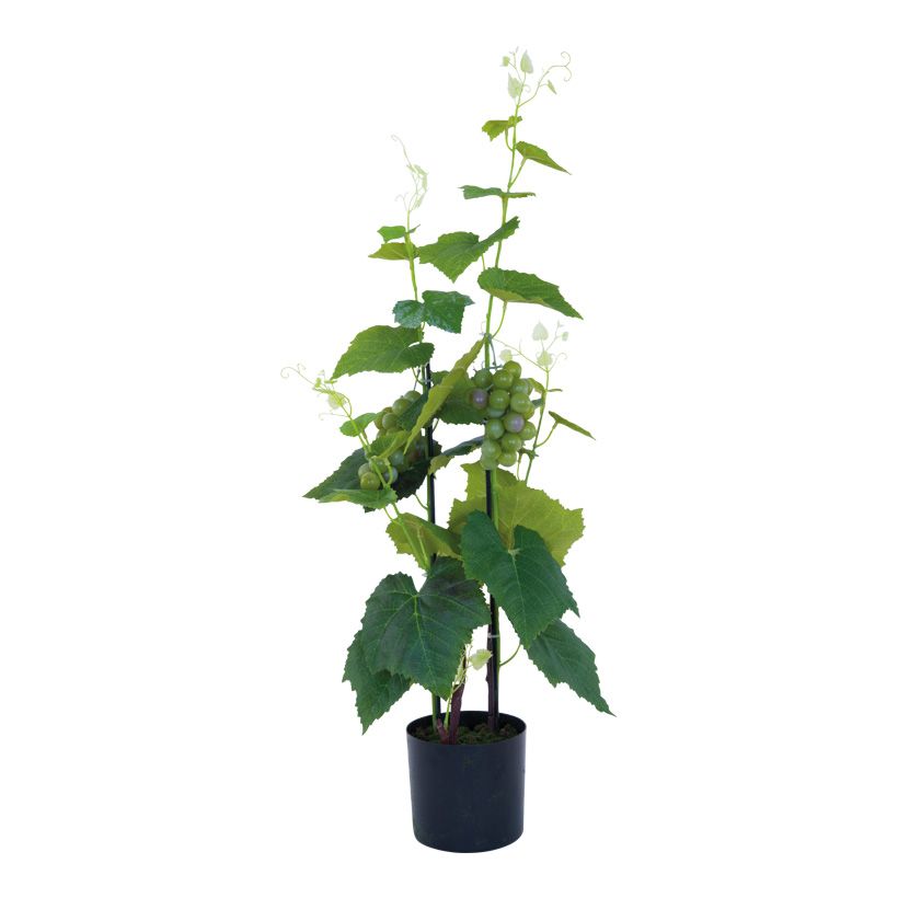 Weintraubenpflanze, 81cm Topf: 12,5x11,5cm aus Kunststoff/Kunstseide, im Topf, mit grünen Weintrauben