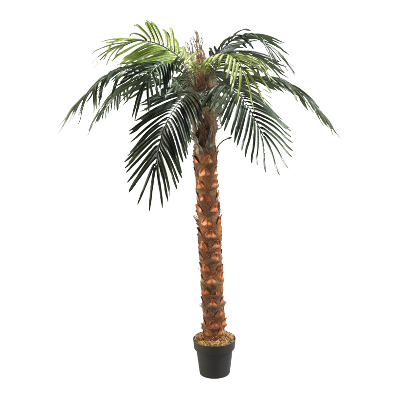 # Phönix-Palme im Topf, 180cm, Kunststoff, Kunstseide