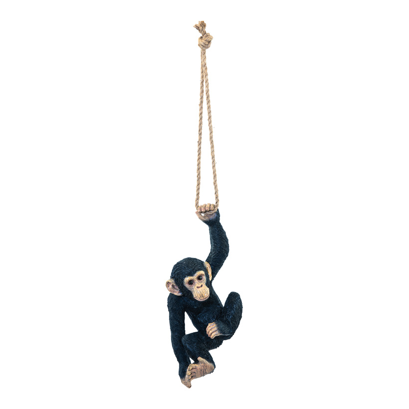 Affe, H: 40cm B: 17cm einarmig hängend, mit Seil, aus Kunstharz
