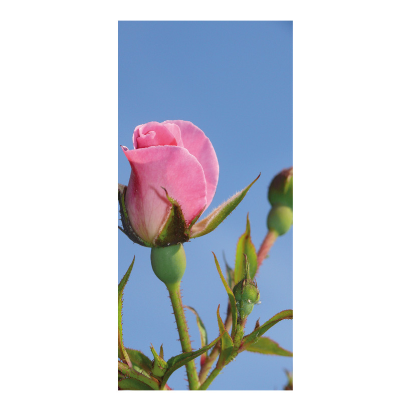 # Motivdruck "Pink rose", 180x90cm Stoff