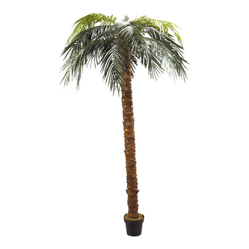 # Phönix-Palme im Topf, 240cm, Kunststoff, Kunstseide