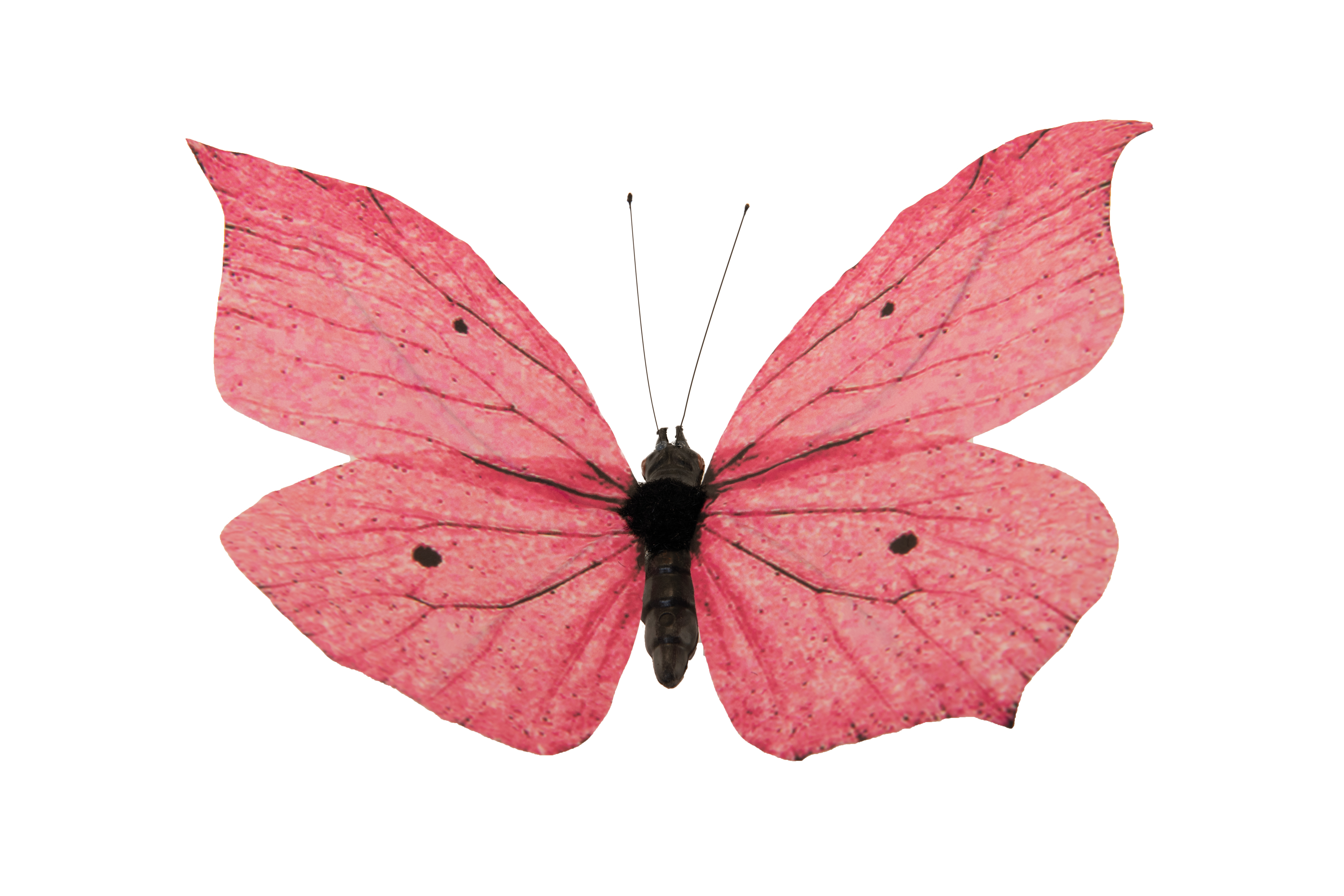 Schmetterling, 15x20cm aus Papier/Styropor, mit Draht für Befestigung