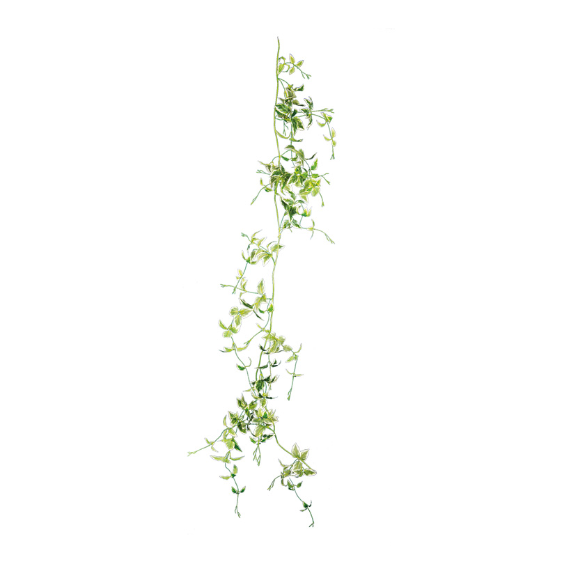 Birkenfeigenblattgirlande, 180cm Blättern und 6 Blütenköpfen