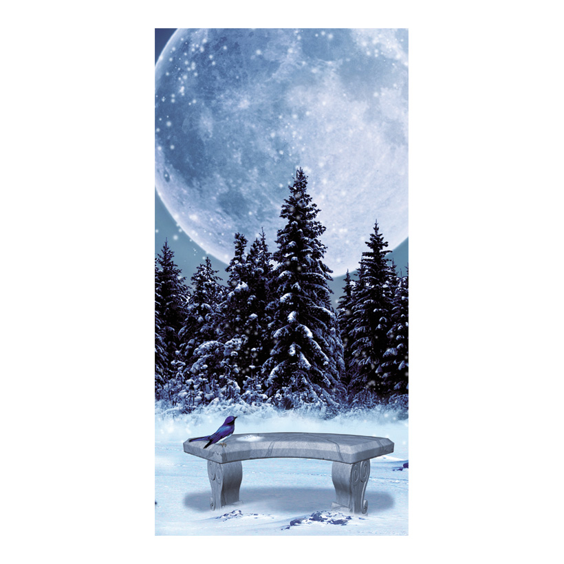 # Motivdruck "Winternacht", 180x90cm Papier