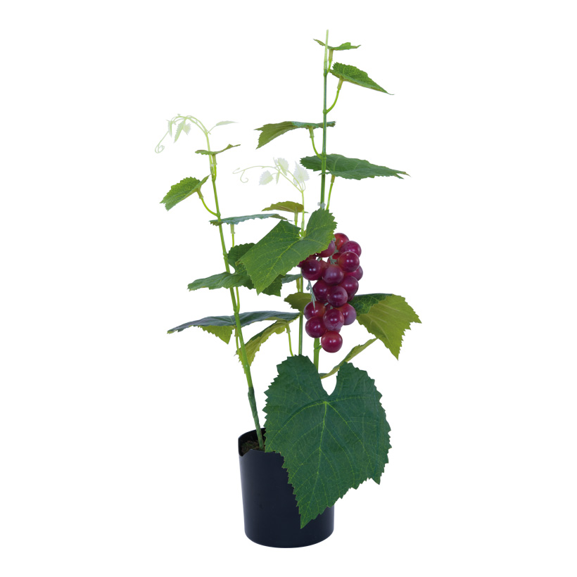 Plante de vigne, 56cm Topf: 10x10cm en plastique/soie synthétique, en pot, avec des raisins rouges