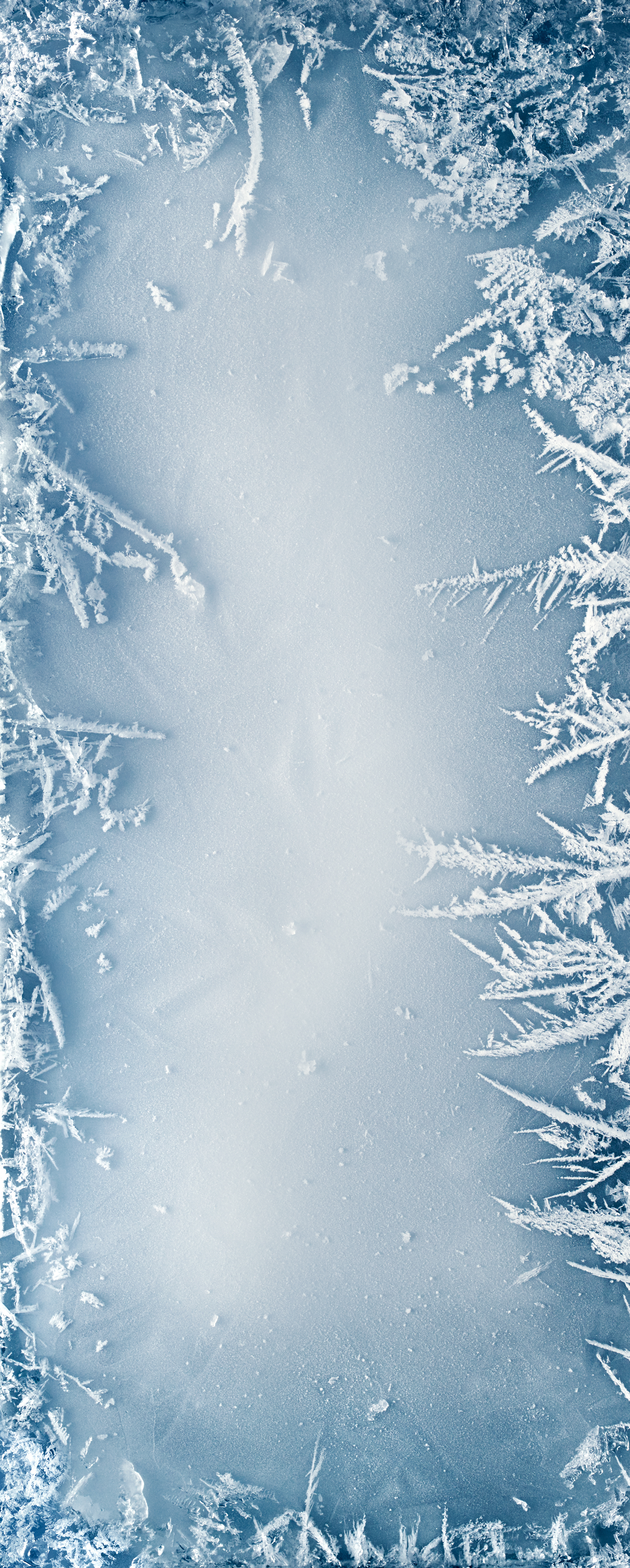 Motivdruck Frost Crystal, 80x200cm aus aus Stoff