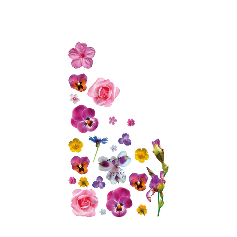 # Motivdruck "Flower" 180x90cm Stoff