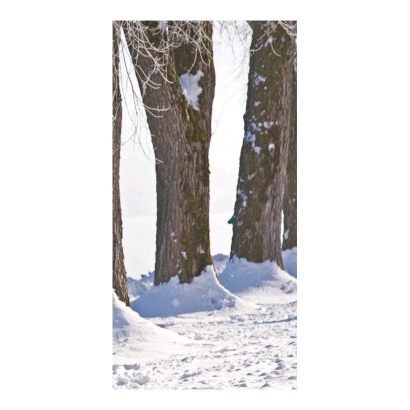 Motivdruck Winterliche Allee, 80x200cm Stoff