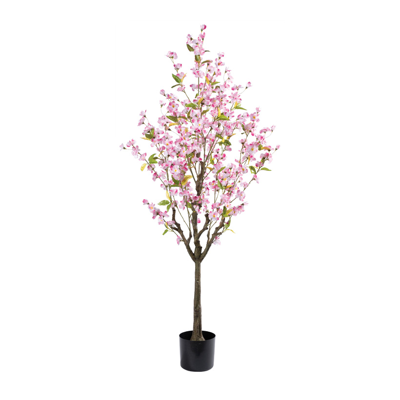 Kirschblütenbaum im Topf, 150cm Topf: Ø16cm 304 Blüten, aus Kunststoff/Kunstseide