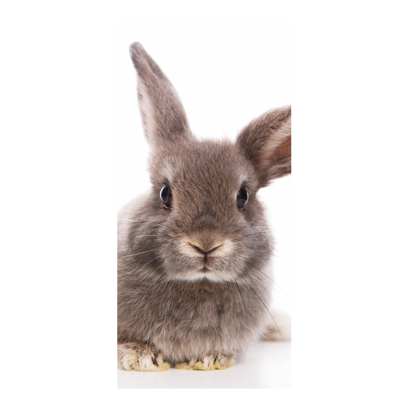 Motivdruck Kaninchen, 80x200cm aus Stoff