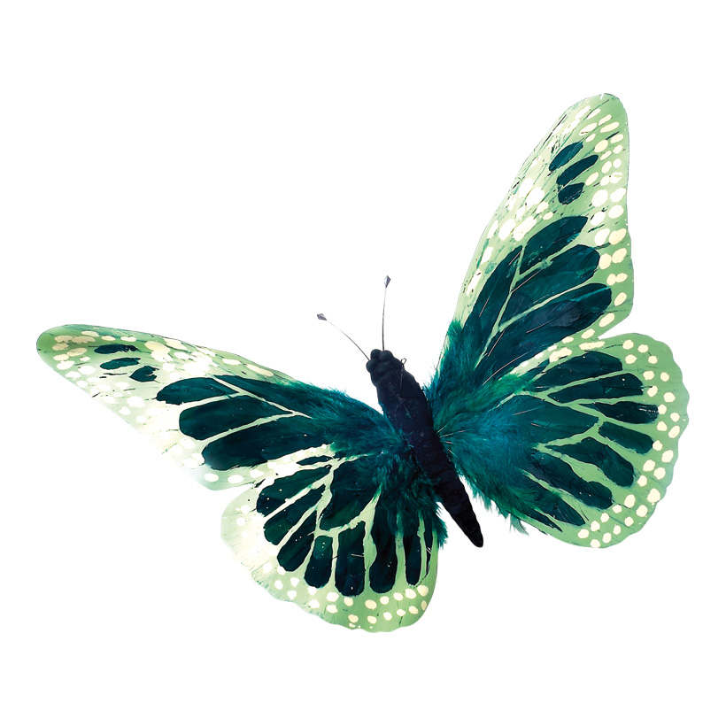 # Schmetterling 45x75 cm Federn