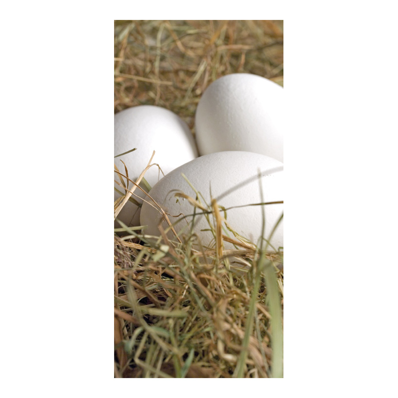 # Motivdruck "Eier im Heunest", 180x90cm Papier